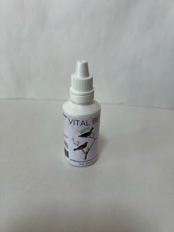 VITAL BE